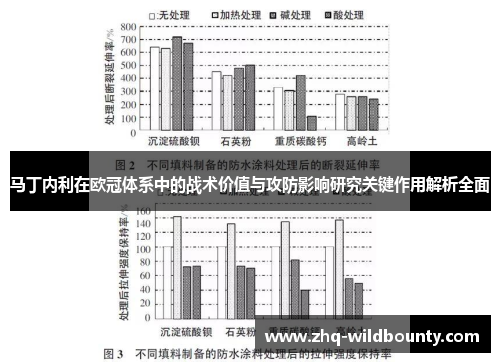 马丁内利在欧冠体系中的战术价值与攻防影响研究关键作用解析全面 马丁内利在欧冠体系中的战术价值与攻防影响研究关键作用解析全面