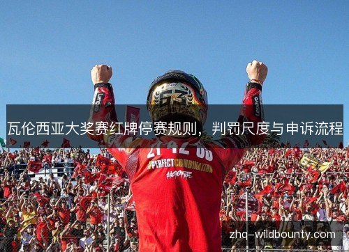 瓦伦西亚大奖赛红牌停赛规则，判罚尺度与申诉流程